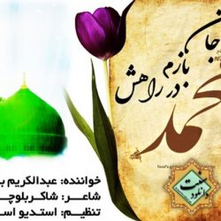 نشید جدید فارسی «جان بازم در راهش» با صدای عبدالکریم بدری 5