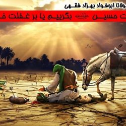 «برشهادت سیدنا حسین رضی الله عنه بگرییم یا بر غفلت خودمان ؟!» | سخنرانی مولانا بهزادفقهی 9