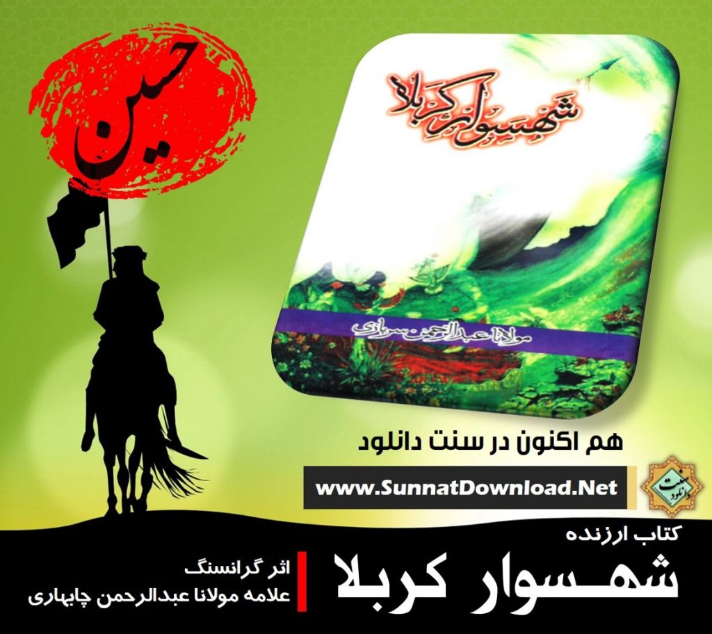 کتاب ارزنده و خواندنی «شهسوار کربلا» | اثر علامه چابهاری 1