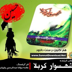 کتاب ارزنده و خواندنی «شهسوار کربلا» | اثر علامه چابهاری 6