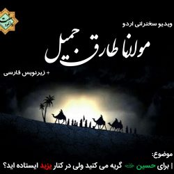 کجا ایستاده ایم؟ در کنار حسین (رض) یا یزید | سخنرانی مولانا طارق جمیل 9