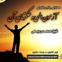 آزمون الهی و حکمتهای آن | شیخ محمد رحیمی 8