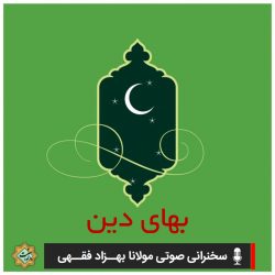 بهای واقعی دین | مولانا فقـهی 8