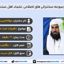 فضیلت امت حضرت محمد | سخنرانی مولانا حبیب الله سپاهی 12