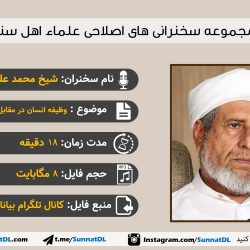 سخنرانی شیخ محمدعلی امینی | وظیفه انسان در مقابل نعمتهای خداوند 10