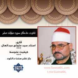 تلاوت ماندگار سوره مبارکه حشر | شیخ سید متولی عبدالعال 11